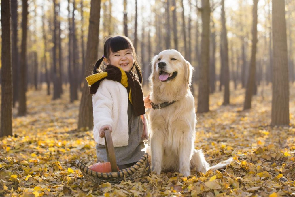 Hundekrankenversicherung, Tierversicherung, die beste Hundekranken versicherung, Versicherung für Hunde
