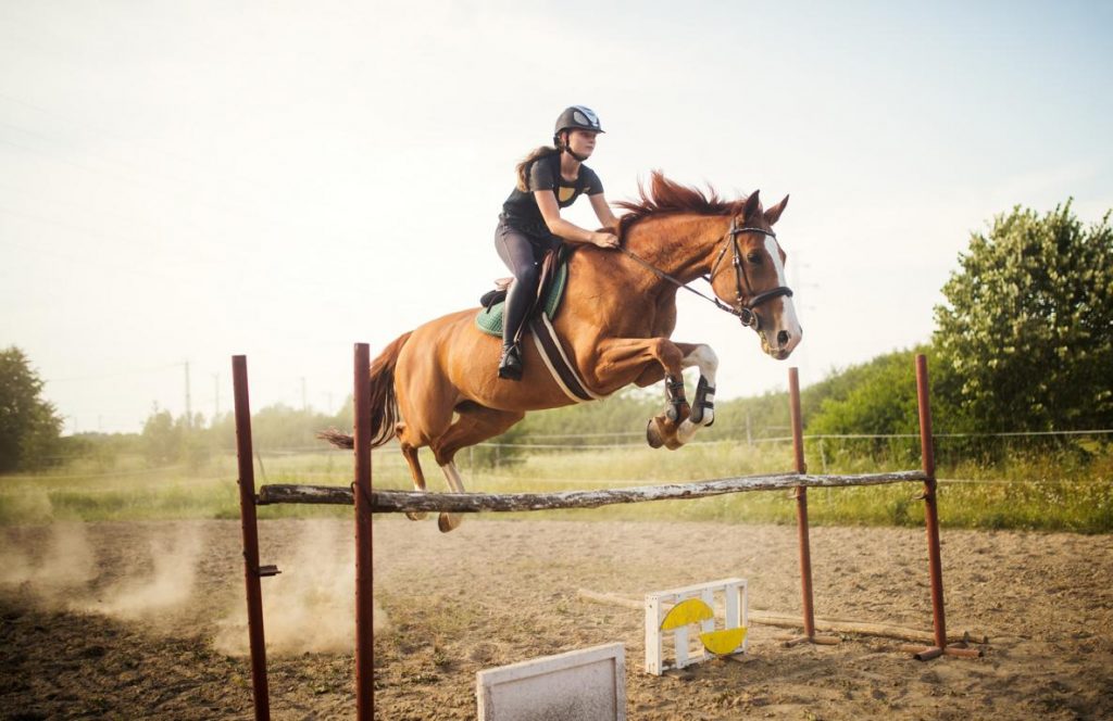 Reiten, Reiten lernen,